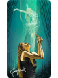 The Light Seers Tarot Deck In a Tin by Chris Anne